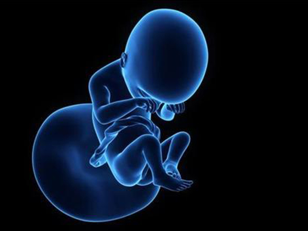 36岁第一次做试管是放一个还是两个胚胎？