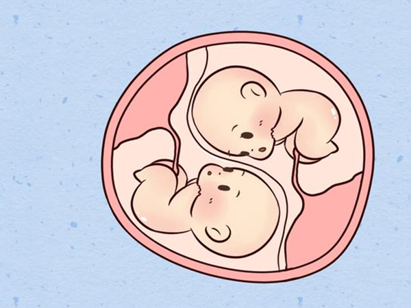 40岁做三代试管一次放两个冻胚怀双胎几率大不大？
