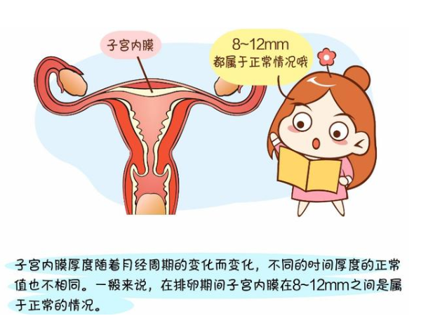 子宫内膜厚度达到8毫米就适合备孕了吗？