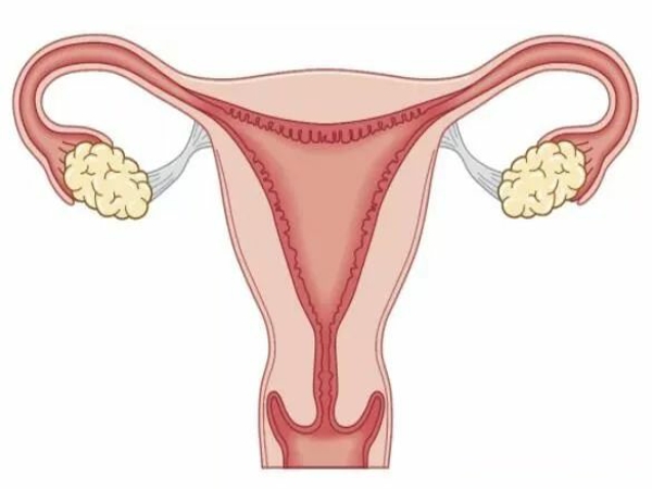 自然周期子宫内膜厚度10mm适合移植胚胎吗？