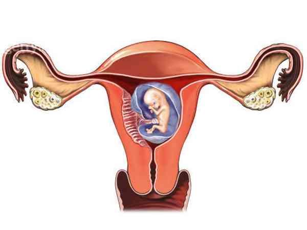妊娠月经的流血特点除了量少还有哪些？
