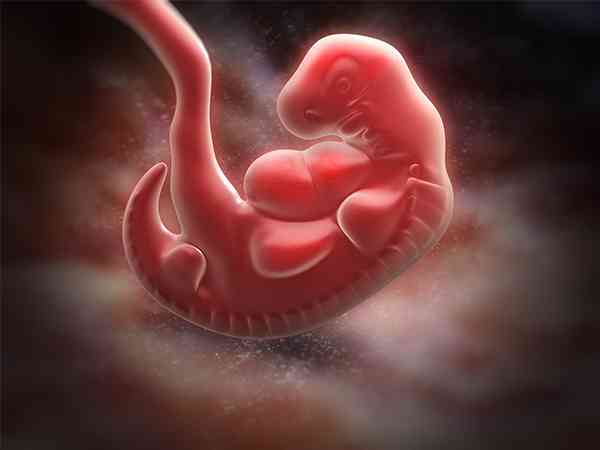 孕8周胚胎发育不良有必要去华西附二院保胎吗?