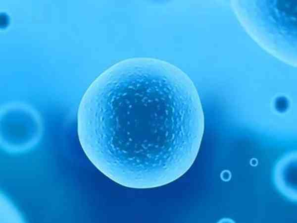 在天门市第一人民医院做试管，移植鲜胚的成功率高吗？
