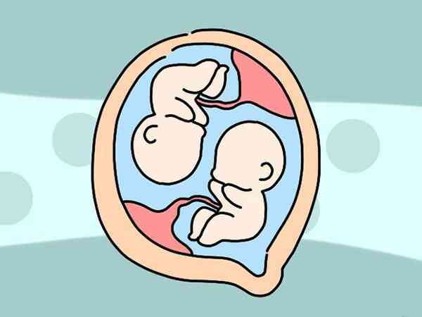 兴义市人民医院可以做试管婴儿生双胞胎吗？
