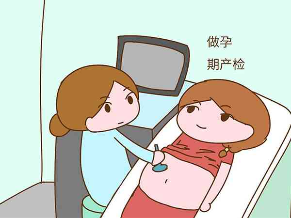 白城市妇幼保健院怀孕检查费用是多少？