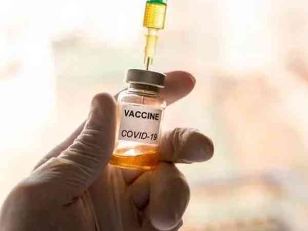 国内新冠疫苗预防效果排名前几的是哪些？