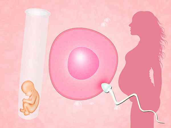 移植第6天如何判断囊胚是否着床成功？