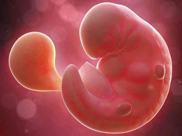 胚胎停育一周后又活的案例有吗？