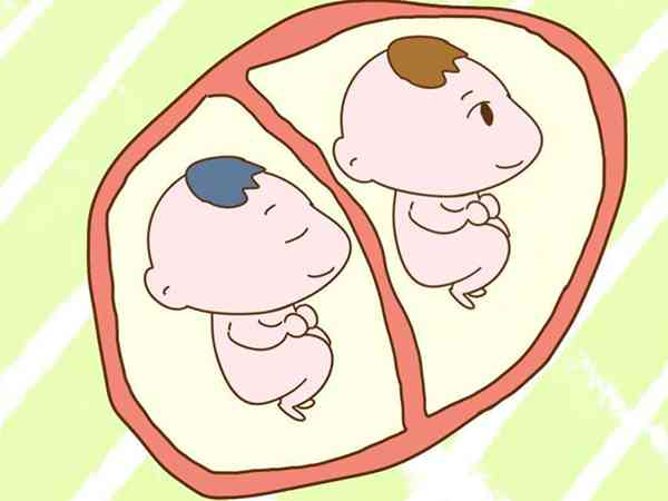 孕早期异卵双胎一个胎停后最快多久会被吸收？