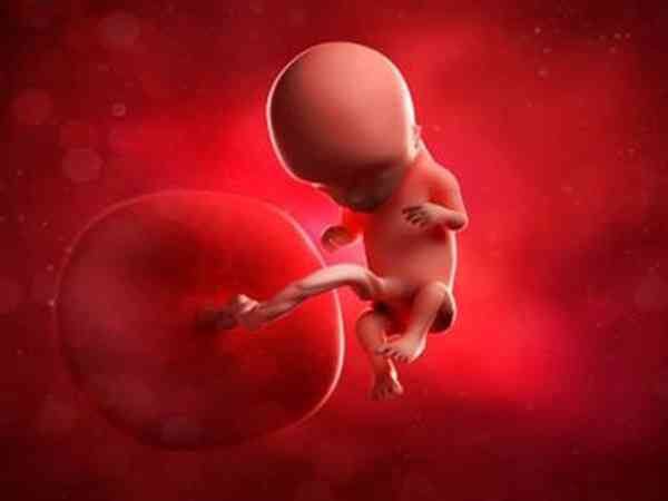 除了检查胚胎还可以怎么诊断胚胎停育的原因？