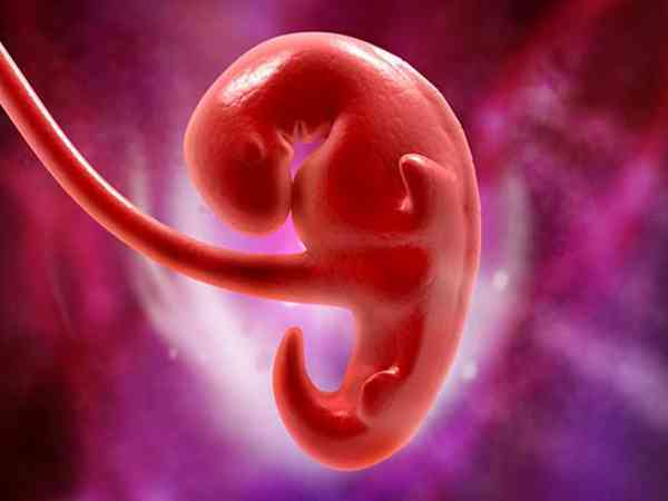 试管胎停和正常怀孕胎停有区别吗？