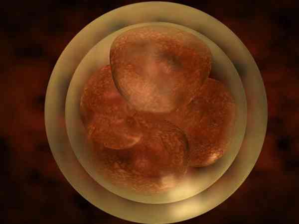 试管促排6个卵泡能配几个一级胚胎？