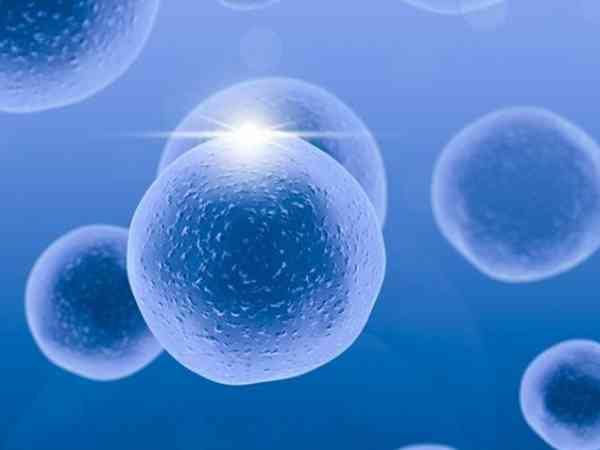 正常卵巢6个基础卵泡促排能有几个？