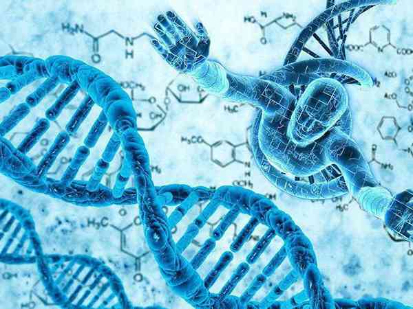 没有遗传基因有没有比较科学的方法能备孕双胞胎？