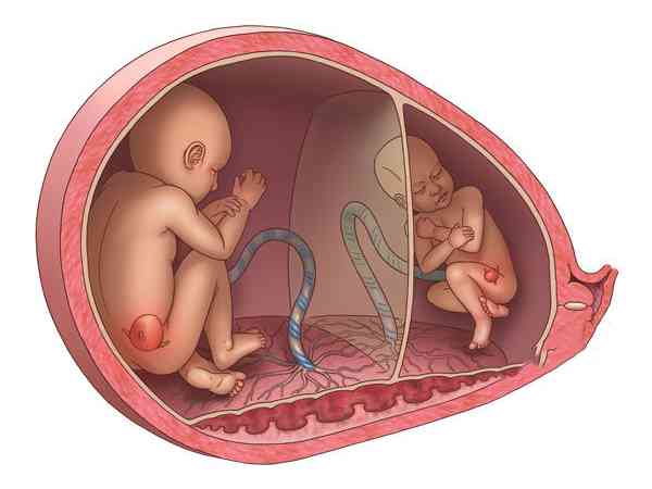 怀孕两周hcg值多少提示怀双胎？