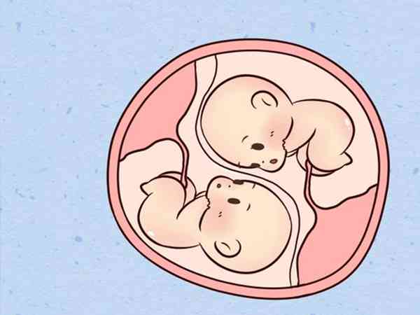 吃氯米芬5天怀双胞胎的几率高吗？