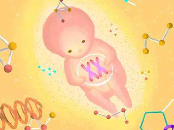 胎停除了要查胚胎染色体还有哪些？