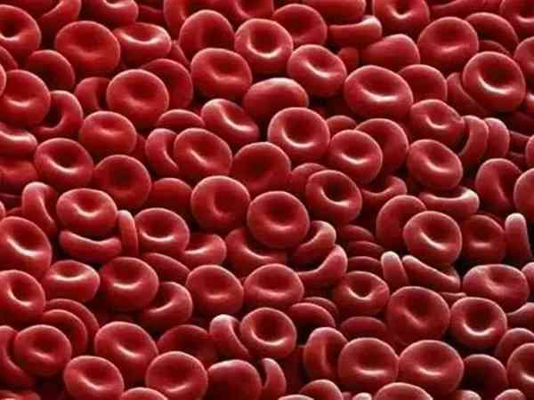 女方o型血男方a型血会出现血型不合的问题吗？