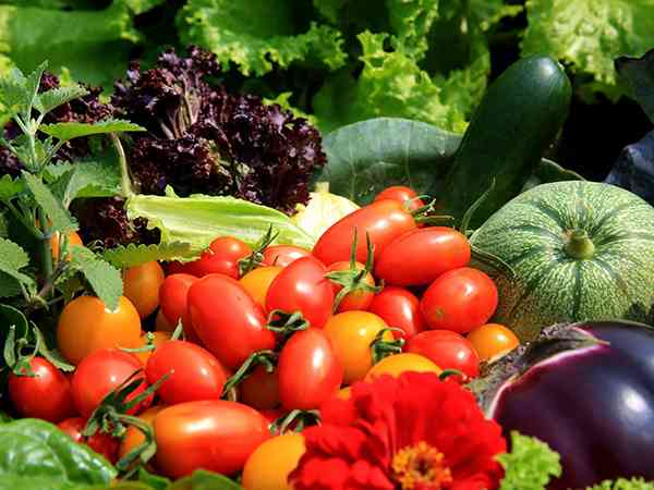 肾小球肾炎尿蛋白高最怕哪三种蔬菜？