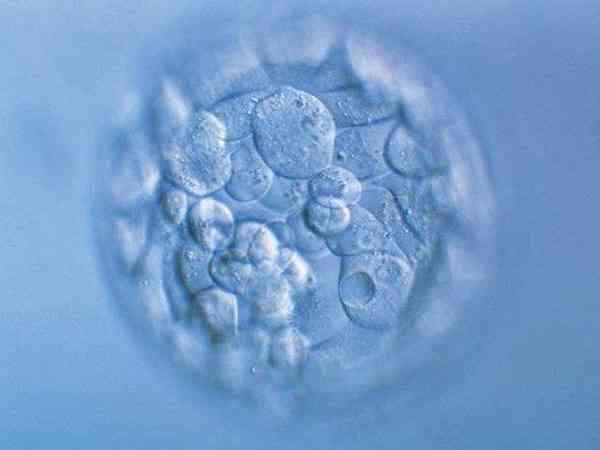 囊胚3bc相当于几级胚胎，属于最低级别吗？