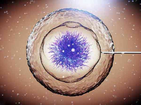 三级胚胎是精子还是卵子质量不好造成的？