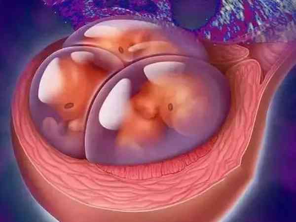 二三级胚胎养囊成功率是不是很低？