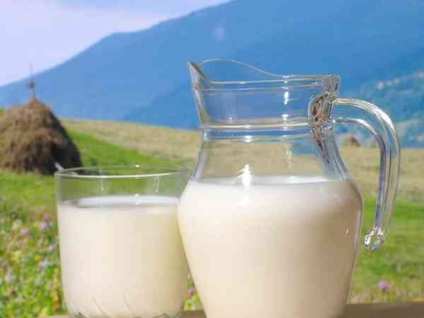 为什么会有人说牛奶是寒性的？