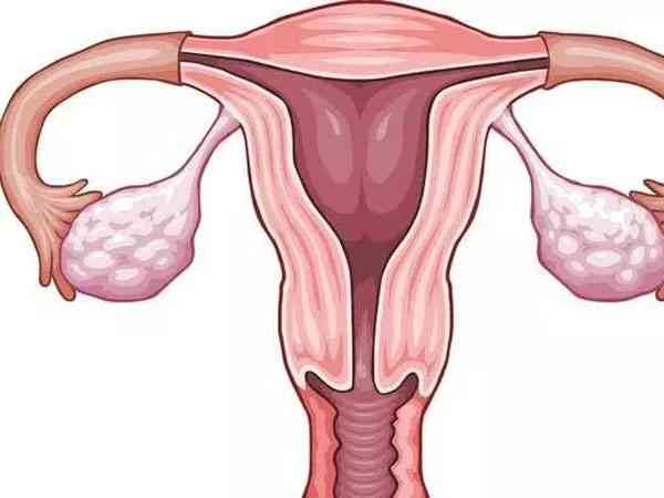 卵巢amh值会随着月经周期而随时变化吗？