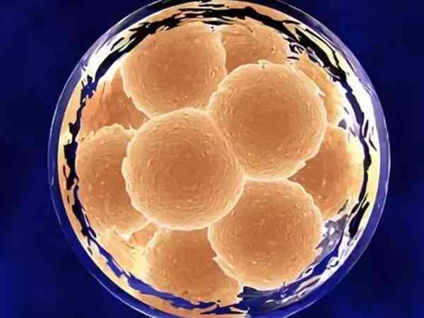 冻囊胚移植不成功的征兆都有哪些？