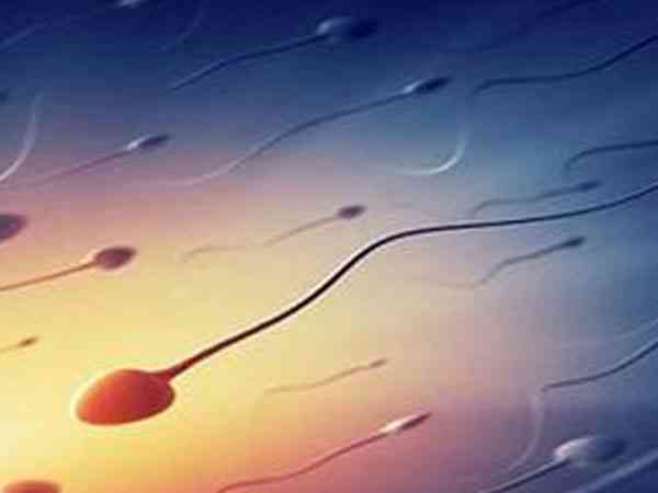 广州的精子库精子申请流程是怎么样的？