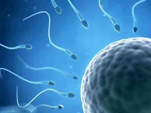 用精子库的精子可以选择供精者的长相身高吗？