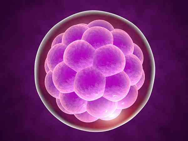 6天的4cb的囊胚质量怎么样？