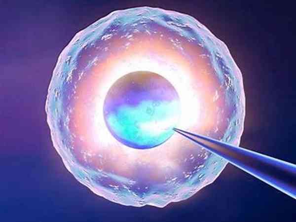临床上3bc的囊胚质量怎么样？
