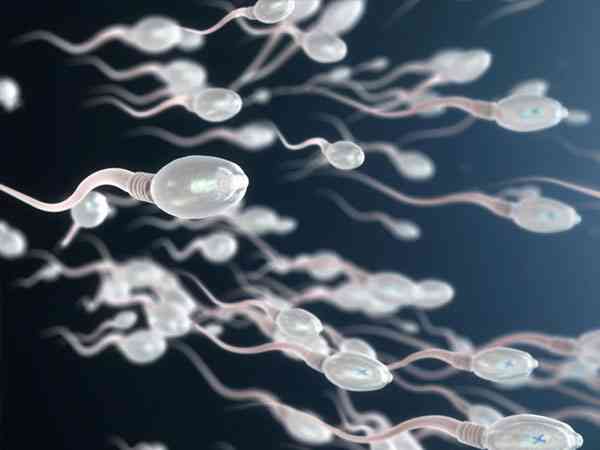 单身女性如何在Fairfax上购买精子做试管婴儿？