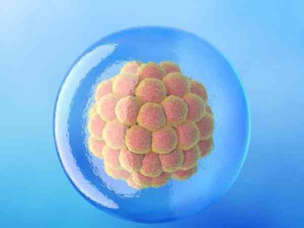 5bb的囊胚质量怎么样？相当于几级胚胎？