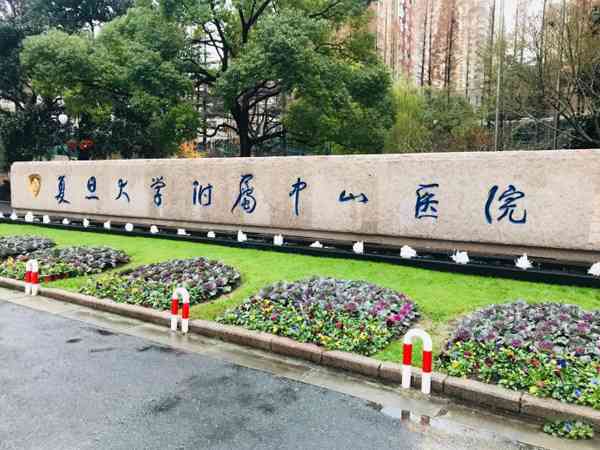 2023年去上海复旦中山医院做二代试管婴儿要多少钱？