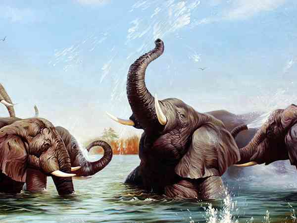 孕妇梦见大象在水中嬉戏是胎梦吗？