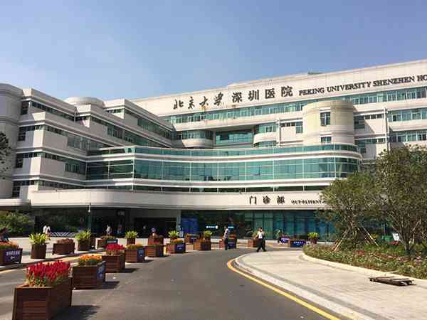 北大深圳医院在深圳试管婴儿医院排行榜中排名第几？