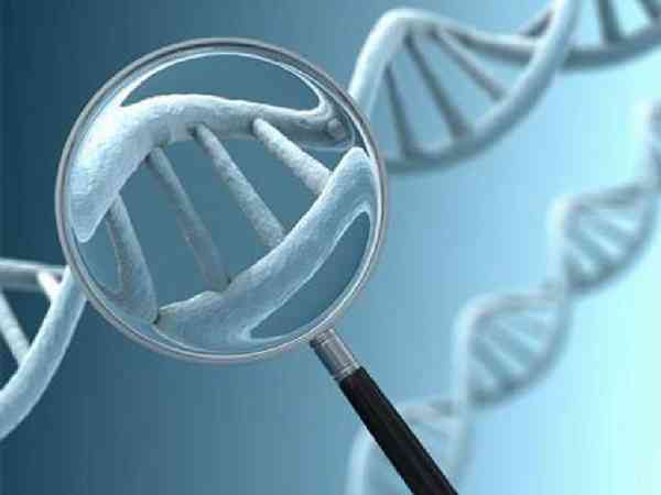 无创dna报告提示性染色体异常是骗局吗？