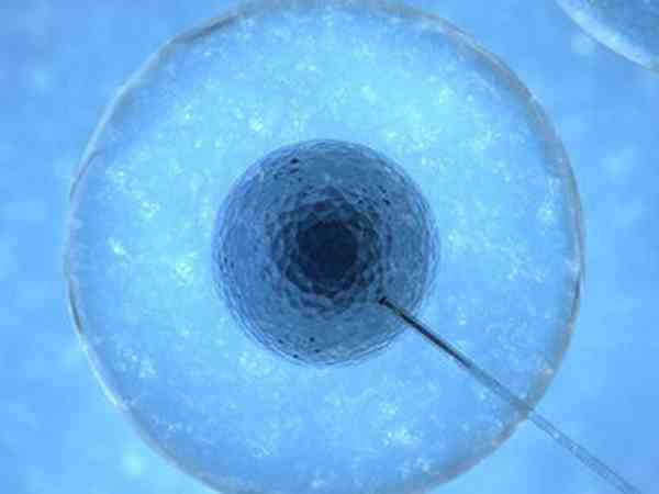 移植两枚4cb囊胚成功率怎么样？