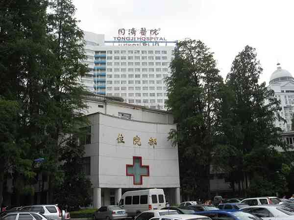 武汉做试管婴儿成功率最高的医院是同济医院吗？
