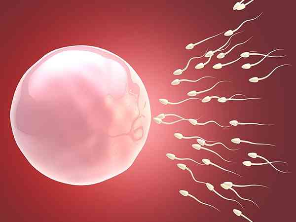 反复移植囊胚最后成功的人有什么经验分享？