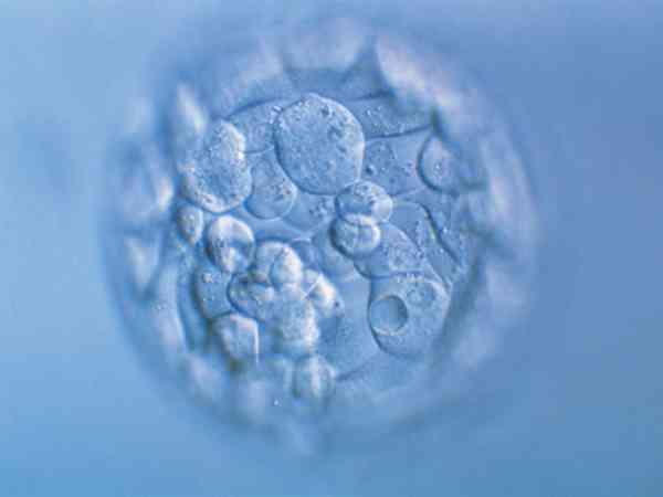 囊胚5bc是什么级别？最差的吗？