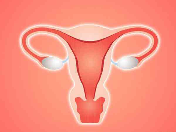 子宫切除一半后还有什么办法可以重新怀孕？