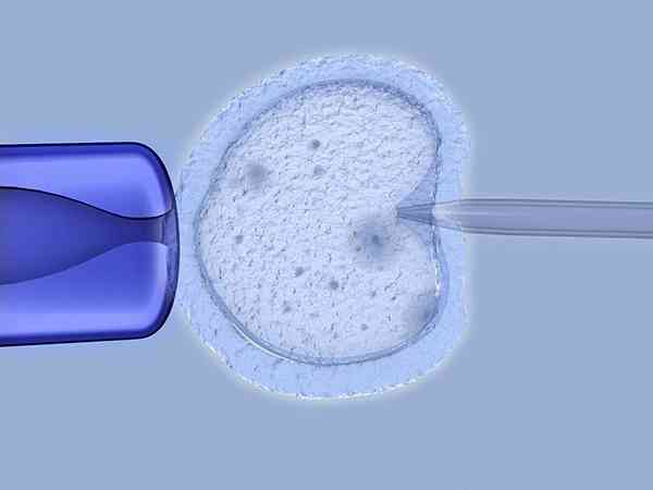 2023中信湘雅医院做供卵试管婴儿一个卵子多少钱？附供卵试管费用一览