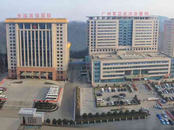 武汉中部战区总医院做试管婴儿生双胞胎费用多少？