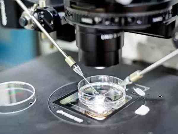 2023年楚雄州人民医院试管婴儿胚胎培养价格多少？