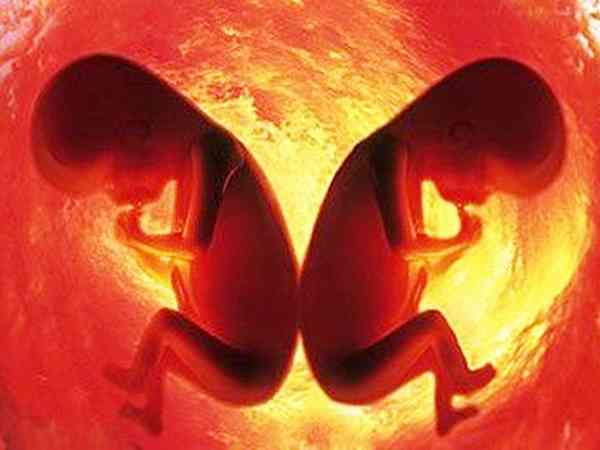 昆医附二院做供精试管婴儿移植双胎要多少钱？