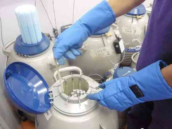 外院的冷冻胚胎怎么转重庆西南医院试管移植？