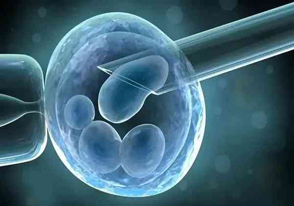 中医提高卵子质量的12小妙招都是哪些？